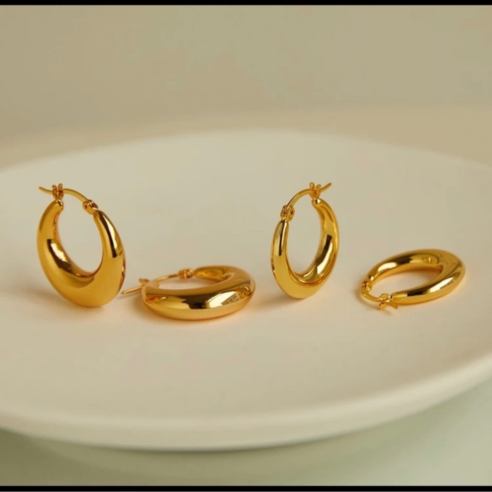 Elegant Gold Hoop Earrings